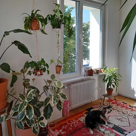 Homestay Wygodne Mieszkanie Na Mokotowie Blisko Metra - Comfortable Close To The Subway