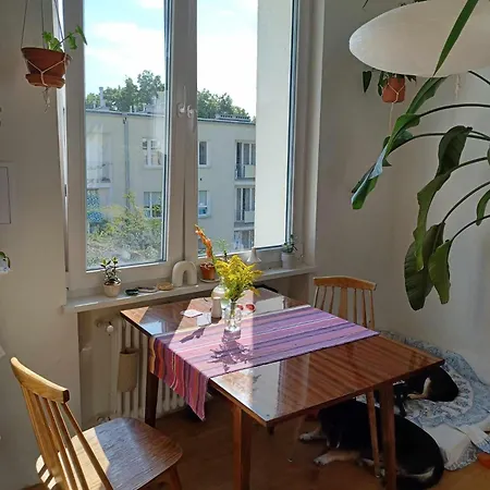 Homestay Wygodne Mieszkanie Na Mokotowie Blisko Metra - Comfortable Close To The Subway