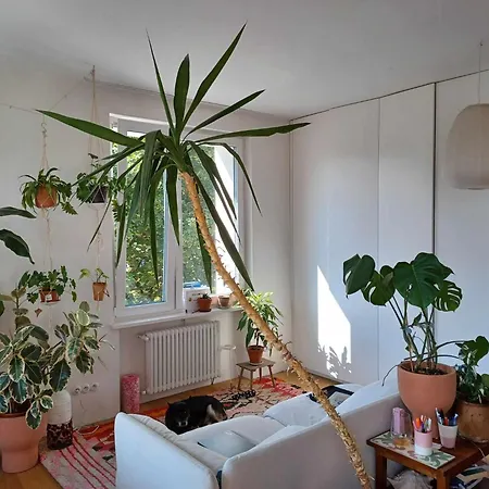 Wygodne Mieszkanie Na Mokotowie Blisko Metra - Comfortable Close To The Subway Warsaw